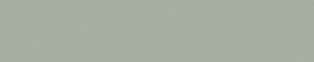 קנט PVC UNICOLOR (גליל של 100 מטר) 0.8X22 ממ ירוק ערפילי מט C716