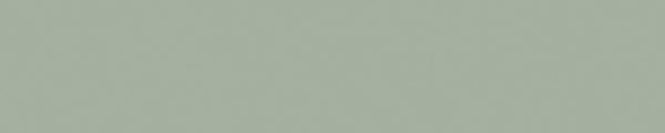 קנט PVC UNICOLOR (גליל של 100 מטר) 0.8X22 ממ ירוק ערפילי מט C716