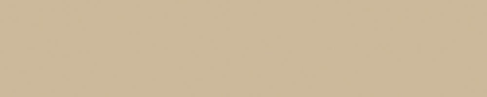קנט PVC UNICOLOR (גליל של 100 מטר) 1X22 ממ ג'ינג'ר