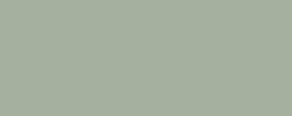 קנט PVC UNICOLOR (גליל של 100 מטר) 1X40 מ"מ ירוק ערפילי מט C716