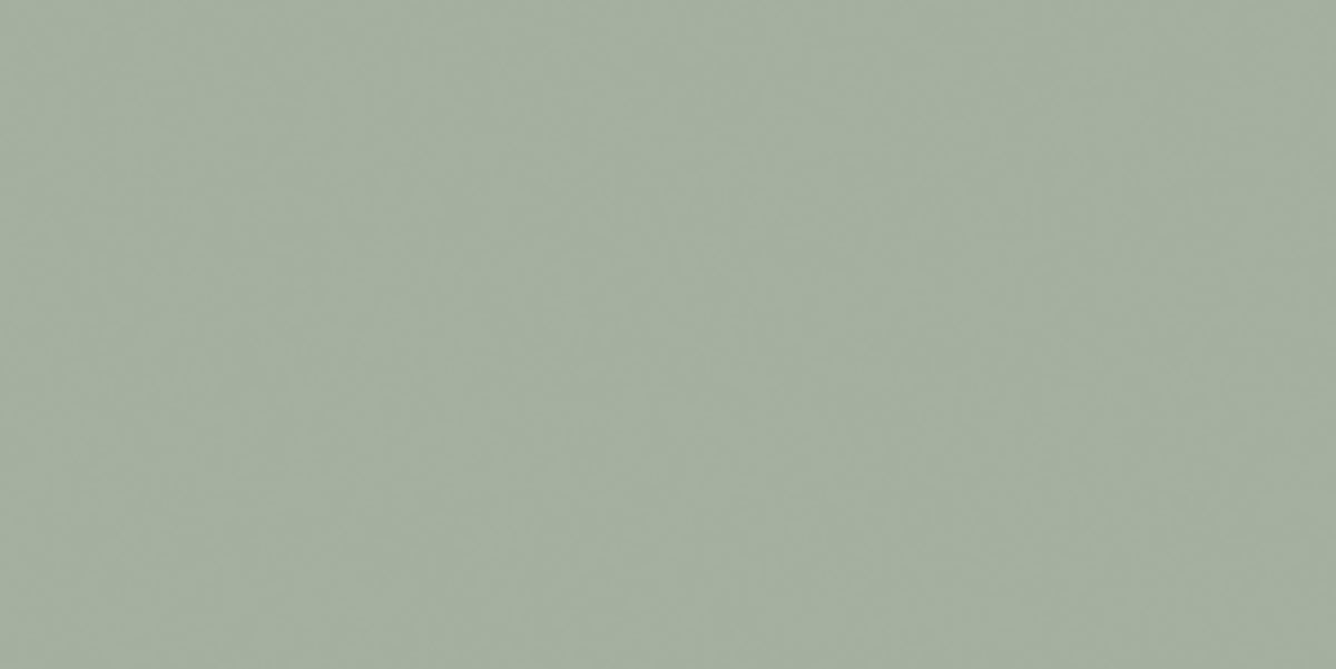 לוח UNICOLOR MDF עובי 18 ממ 1240X2750 ממ ירוק ערפילי מט C716