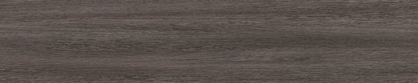 קנט PVC SYNCHRON גליל 100 מטר 1X22 ממ אצטרובל DS