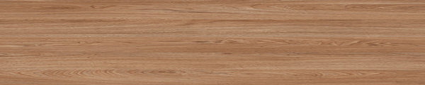 קנט PVC SYNCHRON גליל 100 מטר 1X22 ממ אגוז המלך OS